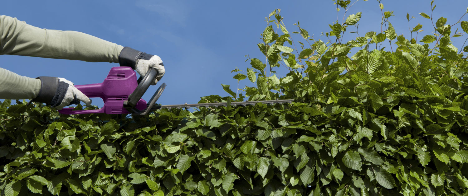 bst_banner_ILMDaten_hecke_200217_1500x630